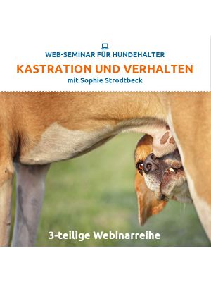 Webinar 
