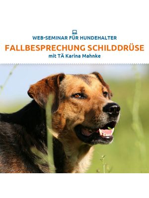 Webinar 