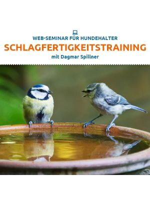 Webinar 