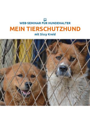 Webinar 