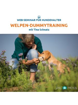 Webinar 