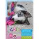 Buch