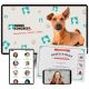 Hundekongress Vol. 7
