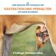 Webinar
