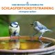 Webinar