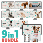 Hundekongress 5in1 Bundle