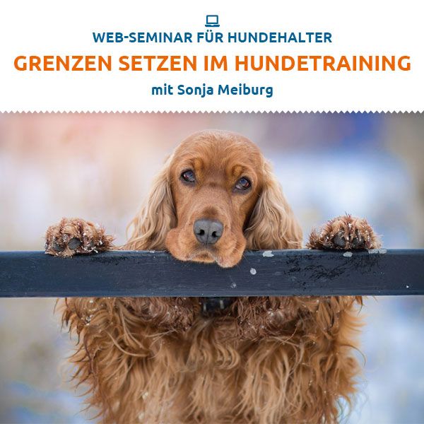 Webinar "HÃ¶r auf damit! Grenzen setzen im Hundetraining." 