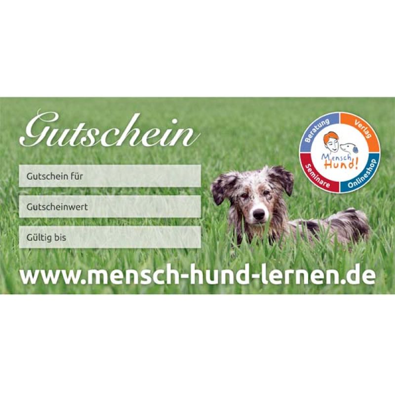 Gutschein - Karte für Hundetraining