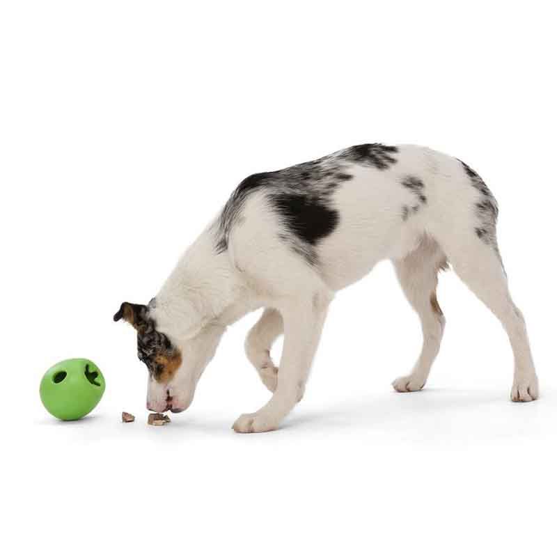 West Paw Rumbl Hundwerkszeug Onlineshop