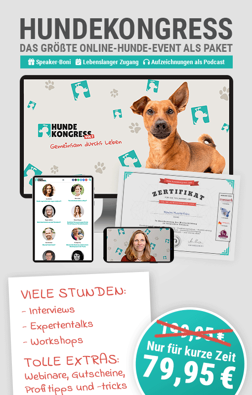 Hundekongress Vol. 7