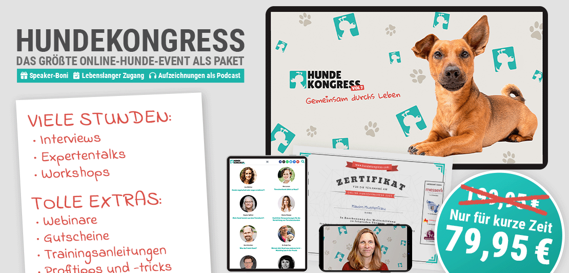 Hundekongress Vol. 7