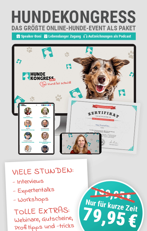 Hundekongress-Paket