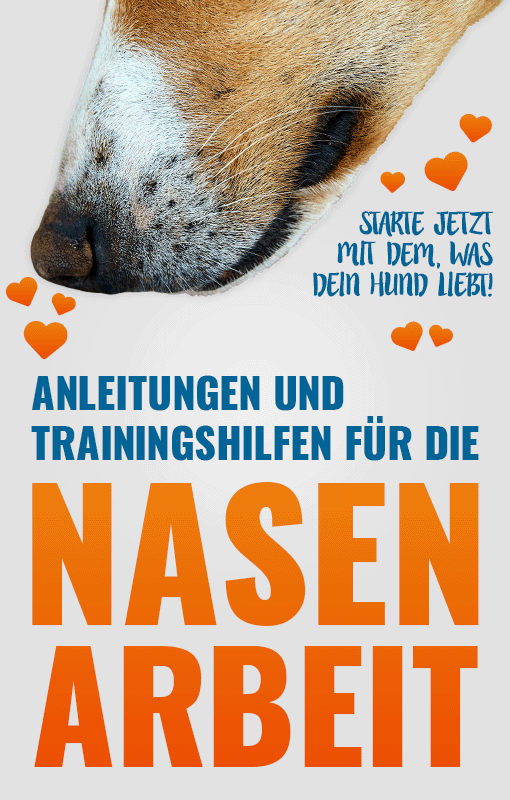 Anleitungen und Trainingshilfsmittel für die Nasenarbeit