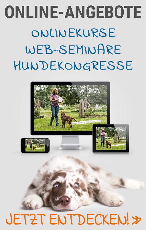 Online-Hundewissen