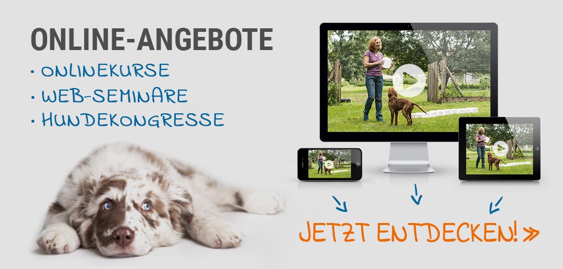 Online-Hundewissen