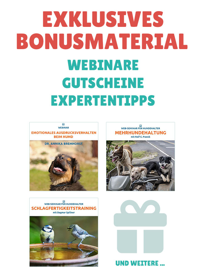 Bonusmaterial