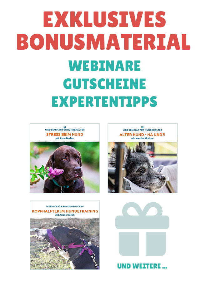 Bonusmaterial